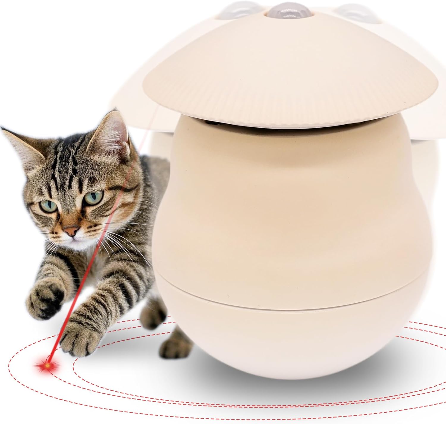 71QzF6uRJdL._AC_SL1500_